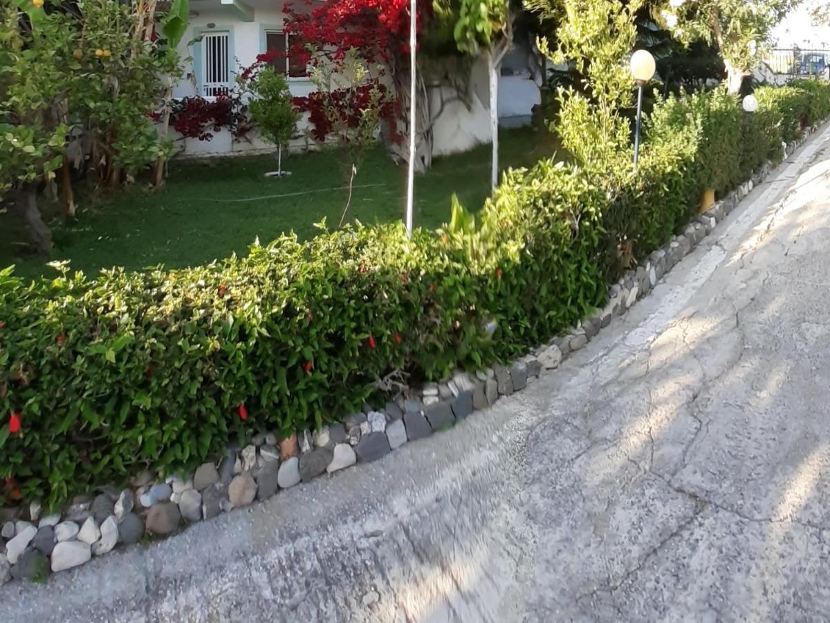 Zikas Apartments Marmari  Zewnętrze zdjęcie